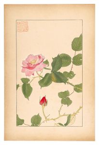 杉浦非水｢薔薇｣