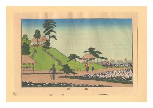 True Pictures of Famous Places of Tokyo (Tokyo shinga meisho zukai) /　Horikiri【Reproduction】 / Yasuji,Tankei