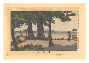 Yasuji,Tankei/True Pictures of Famous Places of Tokyo (Tokyo shinga meisho zukai) /Dokan-yama【Reproduction】[東京真画名所図解　道灌山【復刻版】]