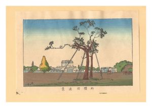 Yasuji,Tankei/True Pictures of Famous Places of Tokyo (Tokyo shinga meisho zukai) / Distant View of Sotosakurada【Reproduction】[東京真画名所図解　外櫻田遠景【復刻版】]