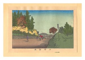 Yasuji,Tankei/True Pictures of Famous Places of Tokyo (Tokyo shinga meisho zukai) / Shinzaka Hill, Ueno【Reproduction】[東京真画名所図解　上野新阪【復刻版】]