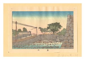 Yasuji,Tankei/True Pictures of Famous Places of Tokyo (Tokyo shinga meisho zukai) / Aoizaka Hill【Reproduction】[東京真画名所図解　葵坂【復刻版】]