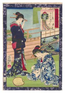 Yoshiiku/Twelve Months in Yoshiwara / The Fifth Month: Motoharu of the Gosei-ro[よし原十二ヶ月の内　皐月 五勢楼元春]