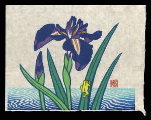 Iris and a frog　(tentative title) / Shimizu Toru