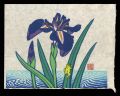 <strong>Shimizu Toru</strong><br>Iris and a Frog　(tentative tit......