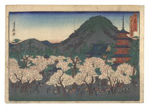 Sadanobu I/Famous Places in the Capital / Cherry Blossoms in Full Bloom at Ninna-ji Temple in Omuro[都名所之内　御室仁和寺花盛]