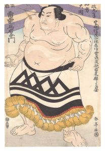 Sumo