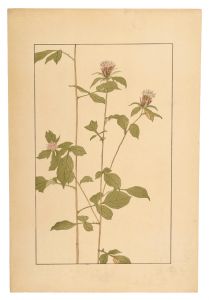 杉浦非水｢おけら｣