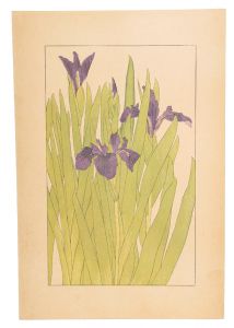 Water iris / Sugiura Hisui