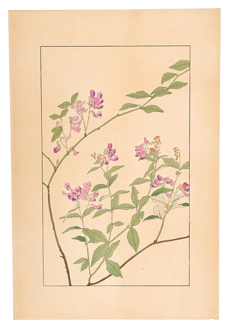 Sugiura Hisui “Two-leaf vetch”／