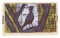 <strong>Ono Tadashige</strong><br>Bird