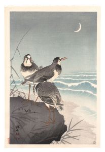 Plover near the Seaside with a Crescent Moon / Ohara Koson (Shoson)