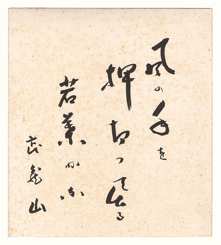 Musashiyama Takeshi “Shikishi”／