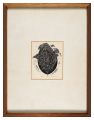 <strong>Hiwasaki Takao</strong><br>Work-P