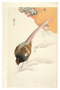 Two Pheasants in Snow (tentative title) / Ohara Koson (Shoson)