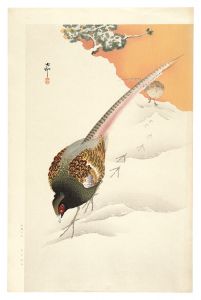 小原古邨（祥邨）｢雪中の雉（仮題）｣