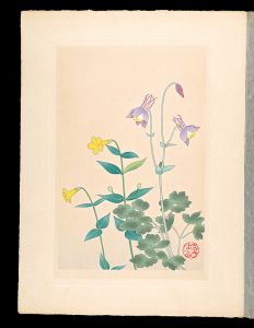 Japanese Alpine Plants / Aquilegia buergeriana and Mimulus sessilifolius / Inoue Masaharu