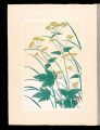 <strong>Inoue Masaharu</strong><br>Japanese Alpine Plants / Patri......