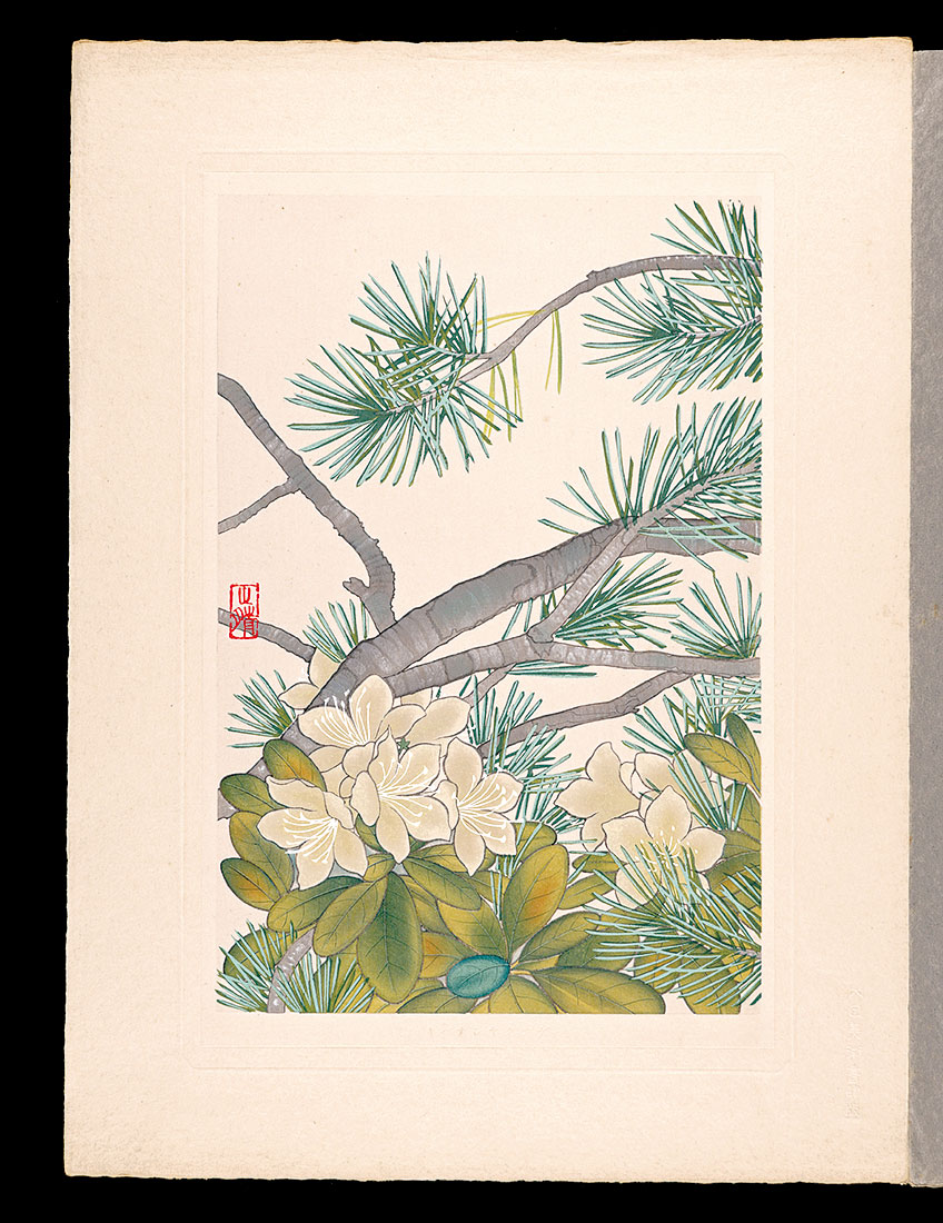 Inoue Masaharu “Japanese Alpine Plants / Yellow-flowered rhododendron”／