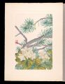 <strong>Inoue Masaharu</strong><br>Japanese Alpine Plants / Yello......