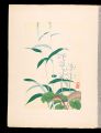 <strong>Inoue Masaharu</strong><br>Japanese Alpine Plants / Ichiy......