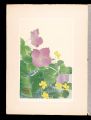 <strong>Inoue Masaharu</strong><br>Japanese Alpine Plants / Twofl......