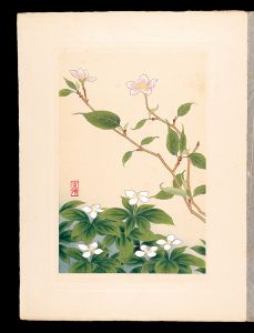 Japanese Alpine Plants / Japanese alpine cherry and Bunchberry / Inoue Masaharu