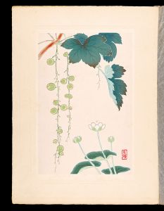 <strong>Inoue Masaharu</strong><br>Japanese Alpine Plants / Parna......