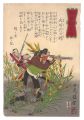 <strong>Yoshitoshi</strong><br>Biographies of Valiant Drunken......