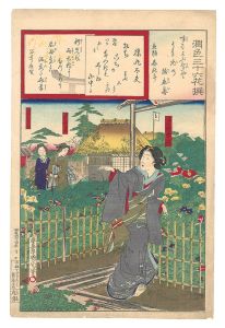 Thirty-six Selected Flowers of Elegance / Sarumaru Dayu / Kunichika