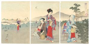 The Twelve Months / April / Chikanobu