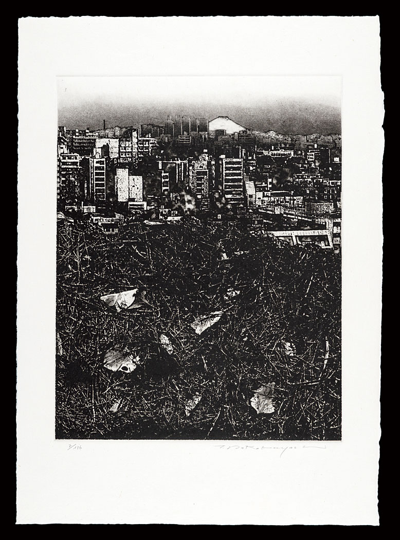 Nakabayashi Tadayoshi “Thirty-six Views of Mt. Fuji in the HEISEI period / Dislocation '91 -Earth- Fugaku”／