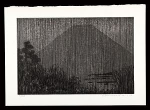 Thirty-six Views of Mt. Fuji in the HEISEI period / Mount Fuji in the Dark Seen from Minami-Ashigara Pass / Funasaka Yoshisuke