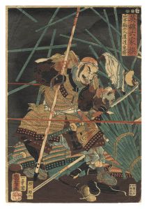 Kuniyoshi/Six Selected Heroes / Yamamoto Kansuke Nyudo Dokisai[英雄六家撰　山本勘介入道道鬼斎]
