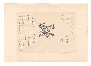 Small prints / Kato Yasu