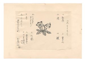 加藤八洲｢小品集｣