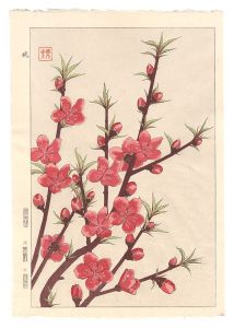 <strong>Kawarazaki Shodo</strong><br>Floral Calendar of Japan / Pea......