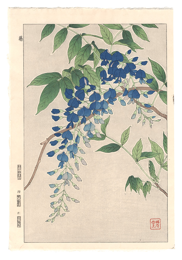 河原崎奨堂｢日本の花こよみ　フジ（藤）｣／