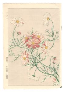 <strong>Kawarazaki Shodo</strong><br>Floral Calendar of Japan / Cos......