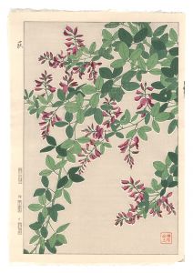 <strong>Kawarazaki Shodo</strong><br>Floral Calendar of Japan / Bus......