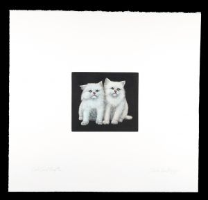 Twins / Charles Lynn Bragg