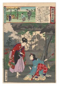 Eastern Brocade: Comparison of Day and Night / Asajigahara / Chikanobu