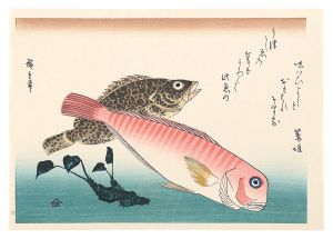 <strong>Hiroshige I</strong><br>A Series of Fish Subjects / Ti......
