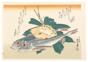 広重初代｢魚づくし　かれい・かながしらに笹【復刻版】｣