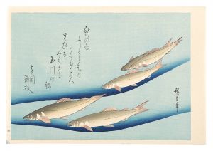 <strong>Hiroshige I</strong><br>A Series of Fish Subjects / Sw......
