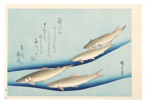 広重初代｢魚づくし　鮎【復刻版】｣