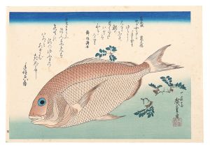 広重初代｢魚づくし　鯛に山椒【復刻版】｣