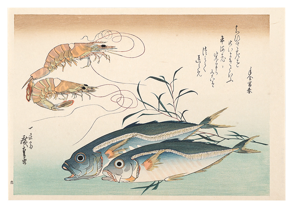 広重初代｢魚づくし　車海老・鯵にたで【復刻版】｣／