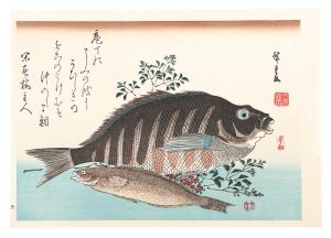 広重初代｢魚づくし　しまだい・あいなめに南天【復刻版】｣