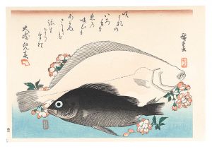 Hiroshige I/A Series of Fish Subjects / Flounder, Rockfish and Cherry Blossoms【Reproduction】[魚づくし　ひらめ・めばるに桜【復刻版】]